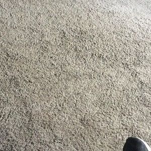 Meet your Posher, Fred